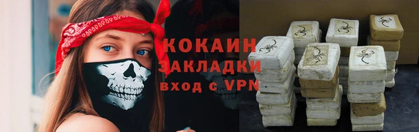 спиды Алзамай