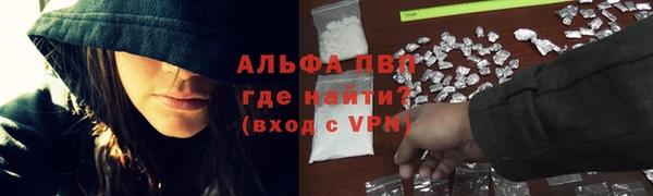 спиды Алзамай