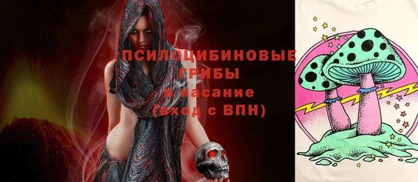 крисы Касимов